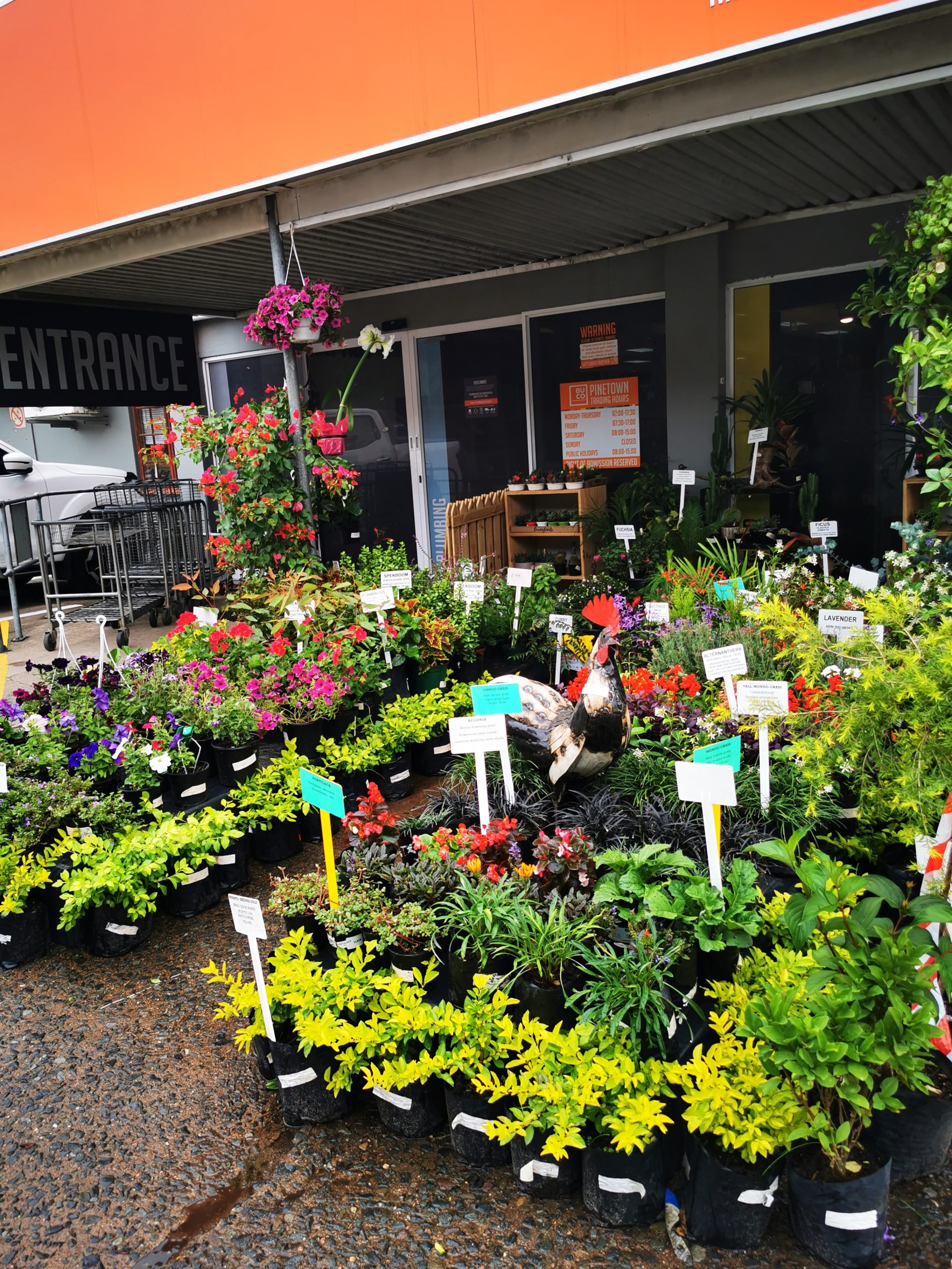 BUCO nursery