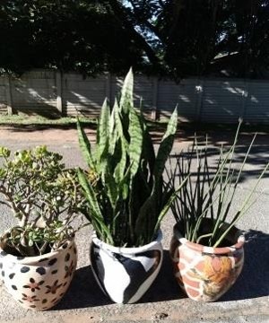 Picture23
