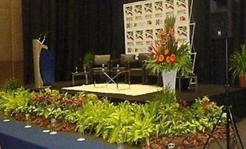Picture31