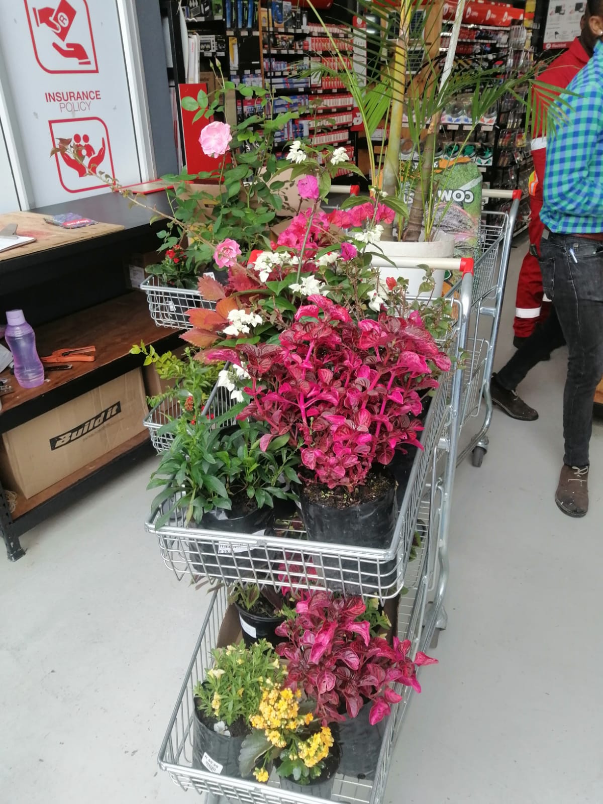 buildit sale November 2024