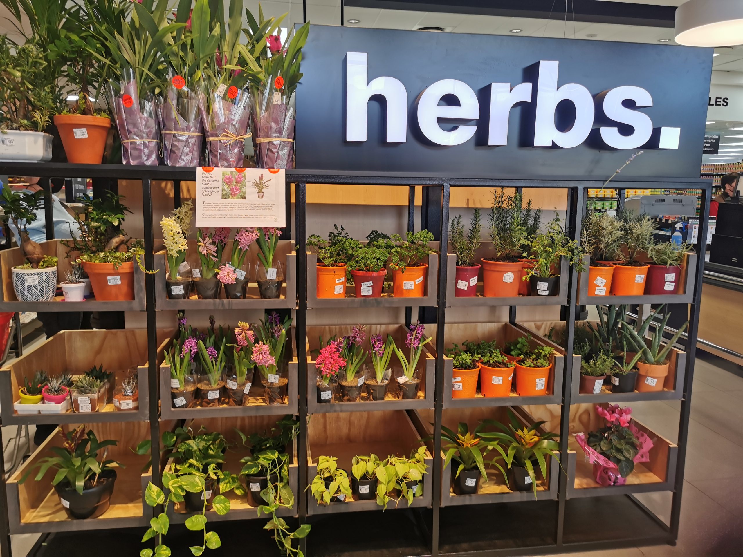 herbs knowles